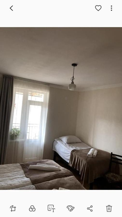 Ekaterine Guest House Kazbegi Dış mekan fotoğraf